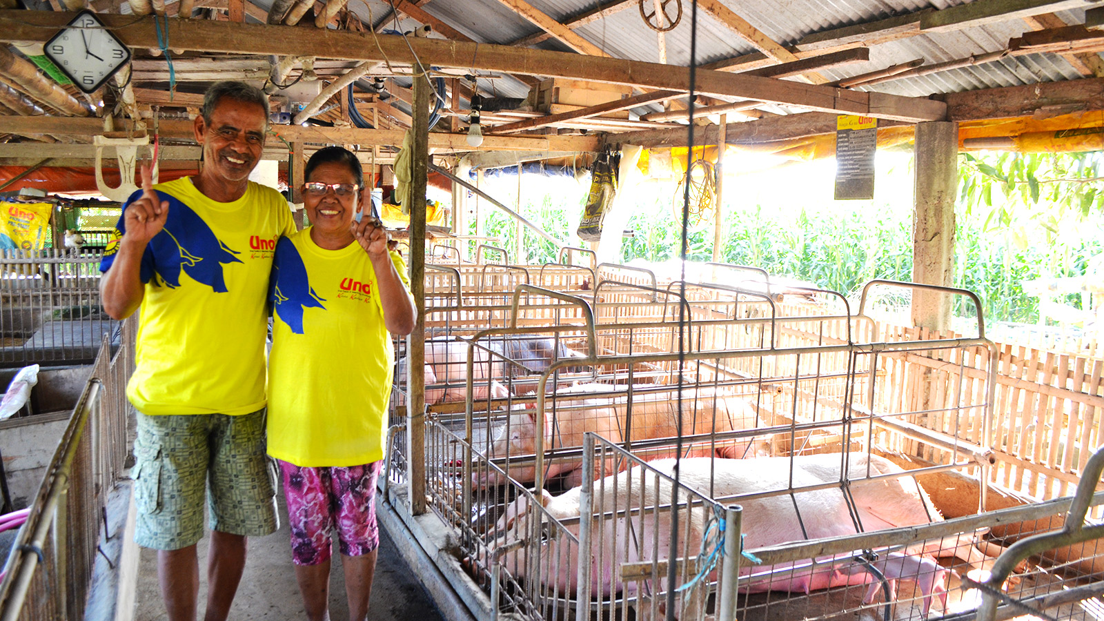 Pinoy Hog Raisers Are Finding Hope Through This Support Program