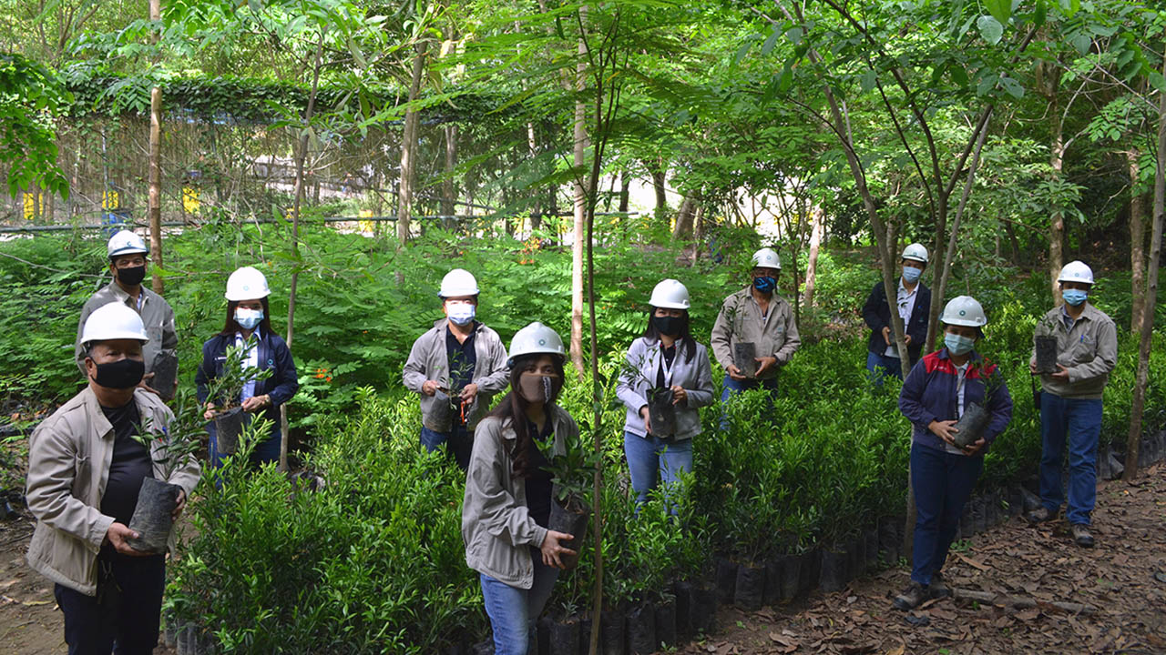 JGSPG Donates 26,000 Seedlings to Mark Philippine Environment Month