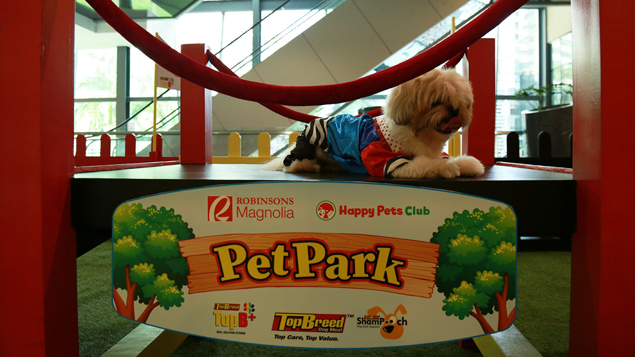 Robinsons Malls First Indoor Pet Park Opens at Robinsons Magnolia